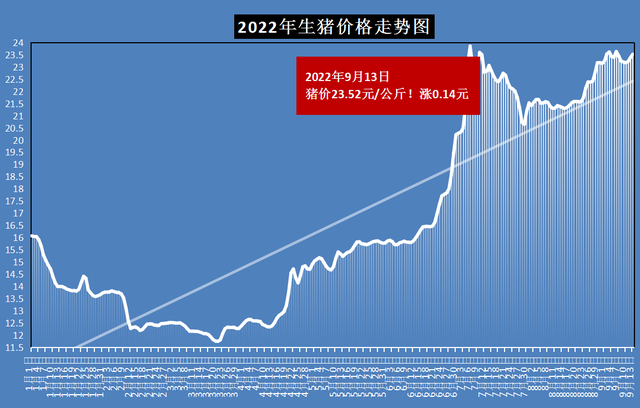 涨涨涨！猪价“3连涨”，上涨原因已找到，发生了啥？9月13日猪价