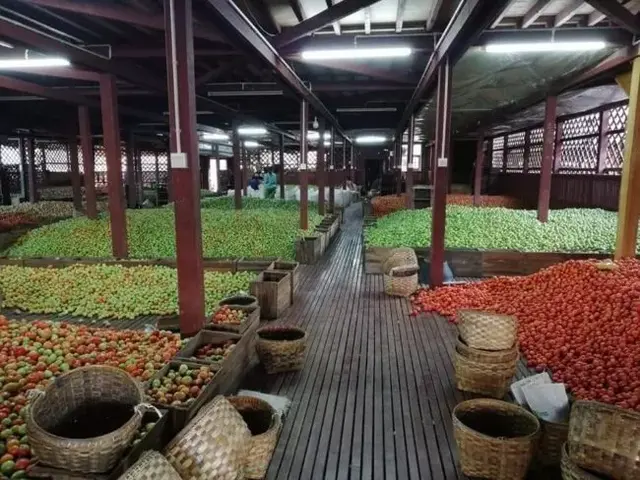 缅甸边境物流逐渐恢复正常，番茄商人终于笑了