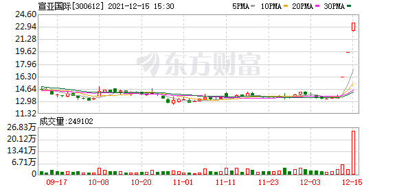 多主力现身龙虎榜，宣亚国际涨停（12-15）