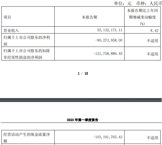 云天励飞去年亏损扩大至4.5亿元 上月上市募资39亿元