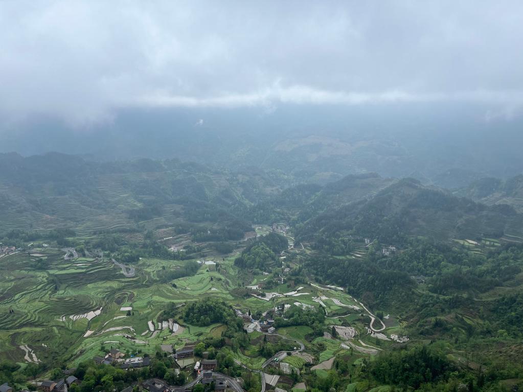 重庆酉阳：农文旅融合绘就古村寨共富新景