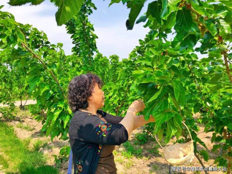 2023蚕桑文化节 - 崇明岛大爱城【营销中心】崇明岛大爱城-售楼处