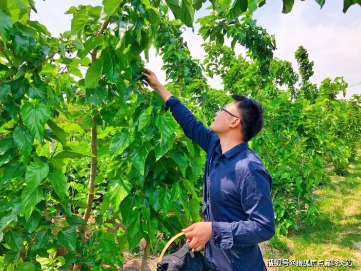 首页-崇明岛大爱城开发商战略【营销中心】崇明岛大爱城售楼处电话详情