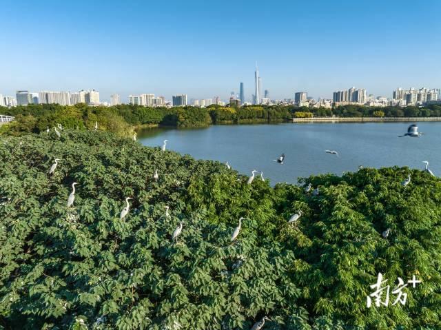 这个立夏，在海边邂逅当“红”大明星