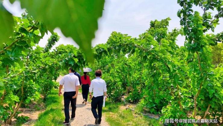 首页-崇明岛大爱城开发商战略【营销中心】崇明岛大爱城售楼处电话详情