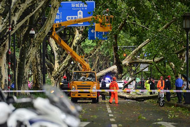 「图集」台风“烟花”登陆，华东地区遭遇风雨潮齐袭