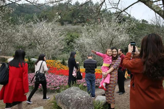 新兴天露山又多了一个网红拍照点！快去打卡！