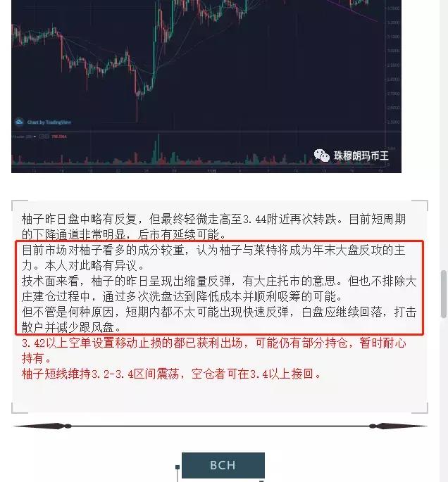 珠穆朗玛币王：11月19日柚子的这波下跌，你抓到了吗？