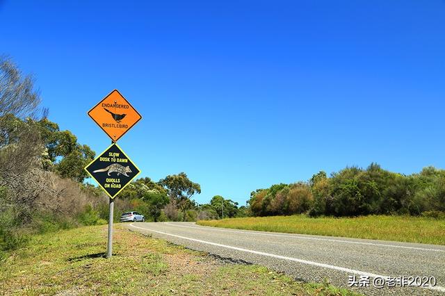 我旅行时拍到的，20张很有趣的道路指示牌，以及标语