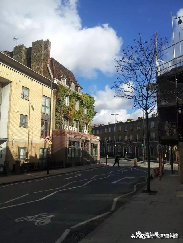 街道转角的垂直绿化，植物与建筑的完美融合