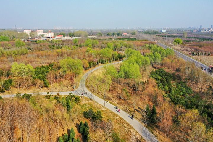 习近平总书记指引雄安新区规划建设的故事