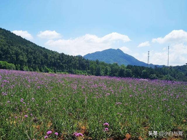 北京延琉路上逛四季花海，永宁古镇游著名商业街，昌赤路崖壁望天