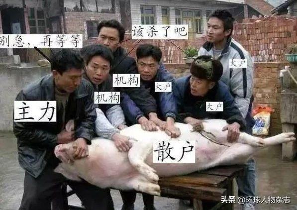 终于被抓！股市“黑嘴”坑人无数，被罚1亿多叫嚣正好“打广告”