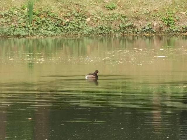 买入银行股