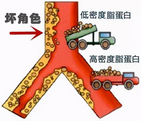 这食物被誉为“胆固醇冠军”，医生：一定要少吃！越吃血管越堵！