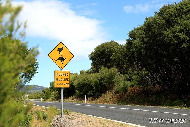 我旅行时拍到的，20张很有趣的道路指示牌，以及标语