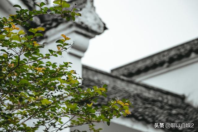 对联：松风竹雨，不争春色盈天下