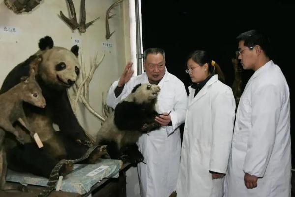 “中国大熊猫之父”胡锦矗病逝