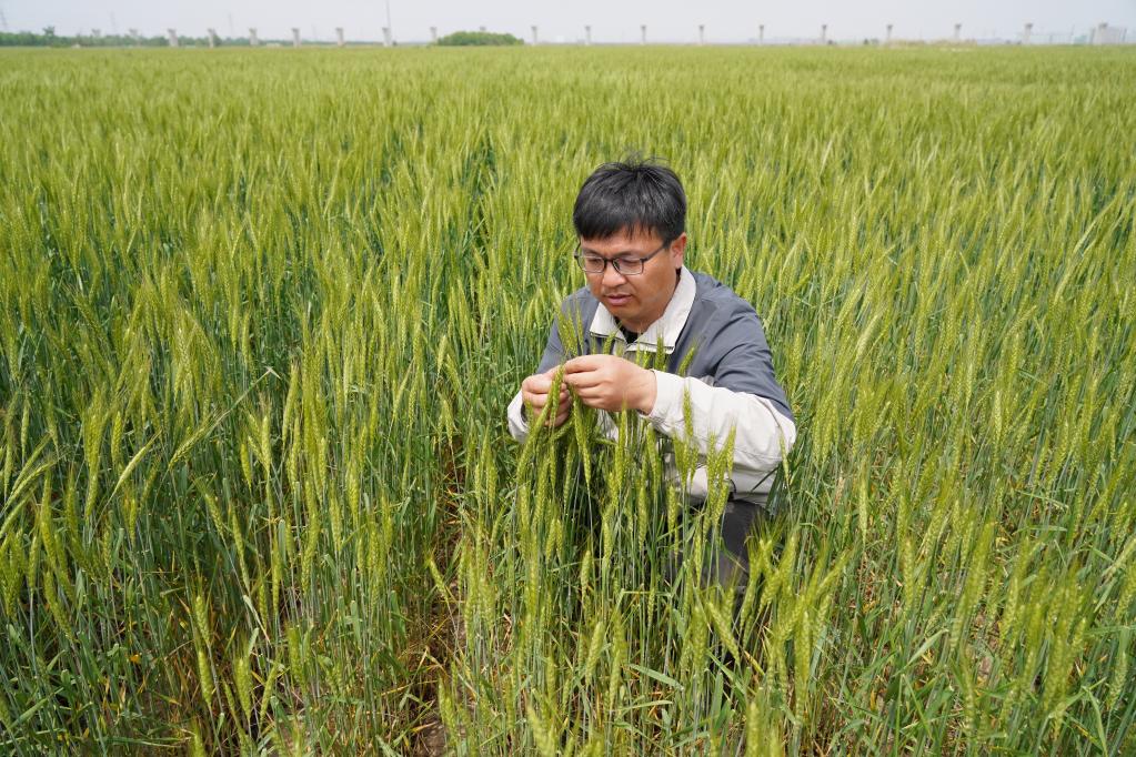 习近平总书记在河北雄安新区、沧州、石家庄考察回访