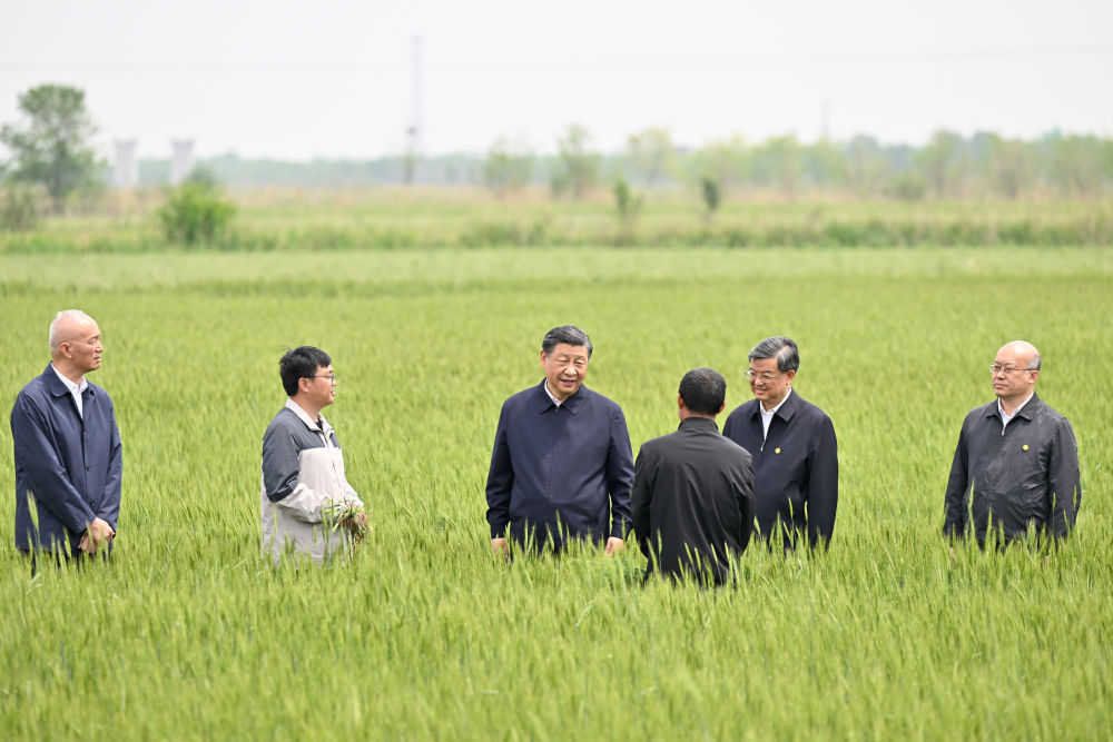 镜观·领航｜在田间地头，总书记关心农业科技创新