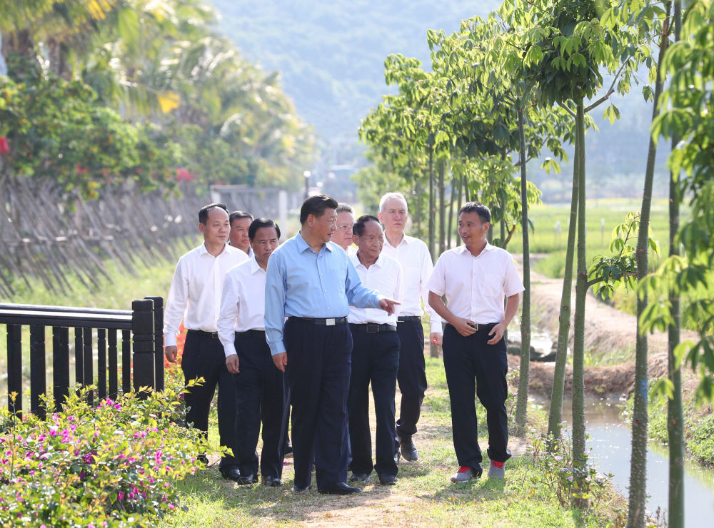 镜观·领航｜在田间地头，总书记关心农业科技创新