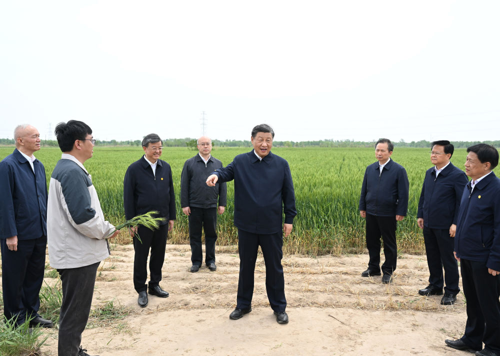 镜观·领航｜在田间地头，总书记关心农业科技创新