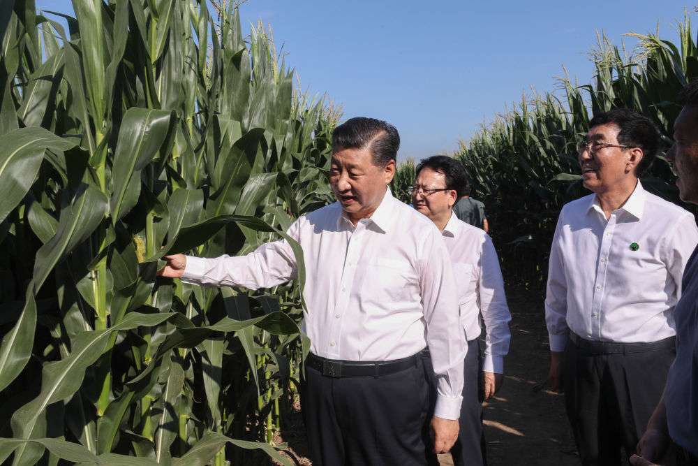 镜观·领航｜在田间地头，总书记关心农业科技创新