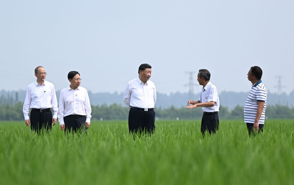 镜观·领航｜在田间地头，总书记关心农业科技创新