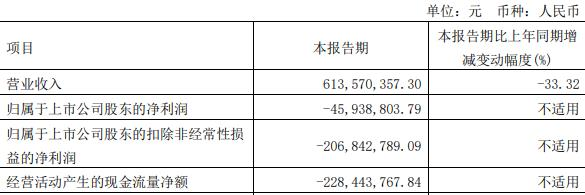 汉马科技拟全资收购南充发展并配套募资 复牌涨停