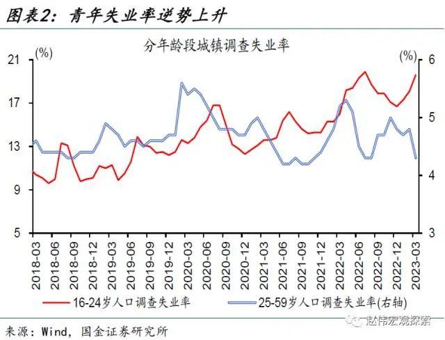 24岁以下青年失业率首破20%，为何青年失业率逆势上升？券商纷纷解读，胡锡进：解决问题需国家动用必要杠杆