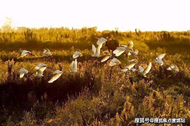 上实和风院-上实和风院丨崇明上实和风院欢迎您丨上实和风院-楼盘详情