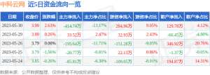 异动快报：中科云网（002306）5月31日9点40分触及涨停板