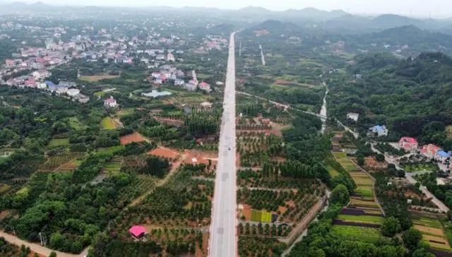 互联网货运进村：一个乡镇的货拉拉实践