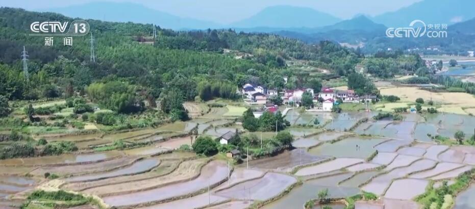 绿水青山环水田 夏种插秧正当时