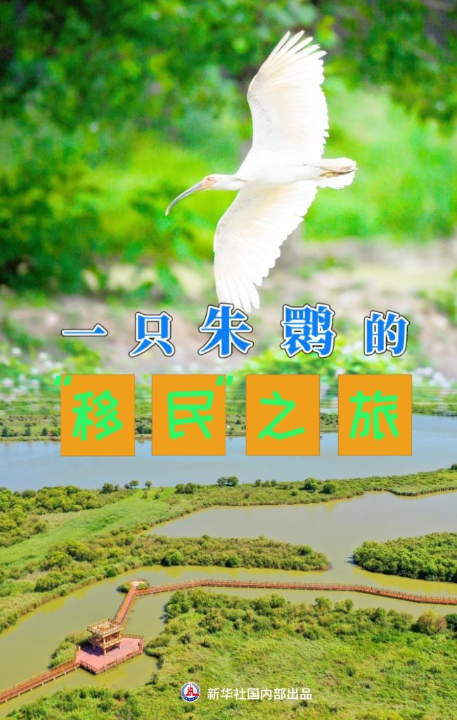 习近平总书记关切事｜书写多彩的生态答卷——在世界环境日到来之际倾听人与自然和谐共生的故事