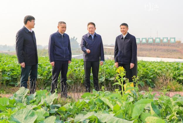 早谋划早准备早行动！杨林兴带队调研督导春耕备耕工作