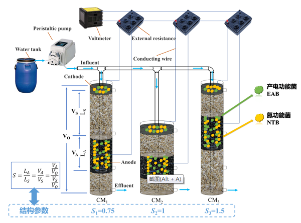 人工湿地-微生物燃料电池原位监测技术研究获进展