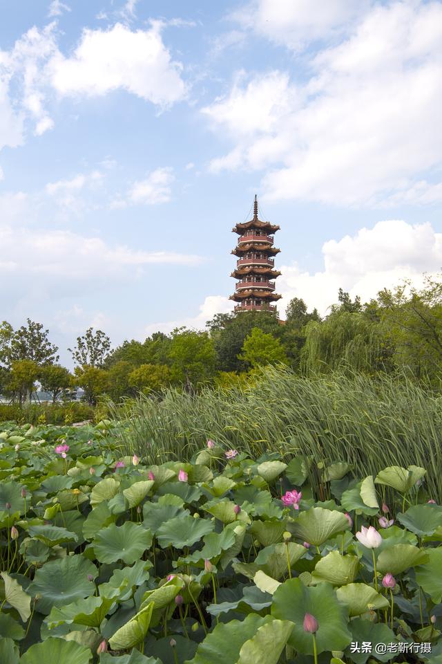 徐州唯一的5A景区，苏公塔是它的地标，春花夏荷美如画