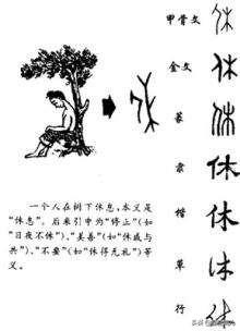 中国汉字是怎么来的｜汉字起源的奥秘