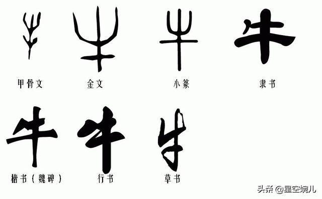 中国汉字是怎么来的｜汉字起源的奥秘