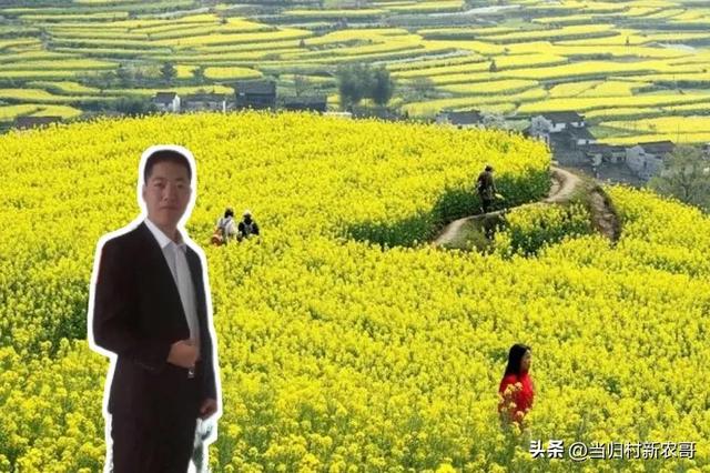 中央拟定：土地自愿有偿退出！注意这3点，家里有地的农民要清楚