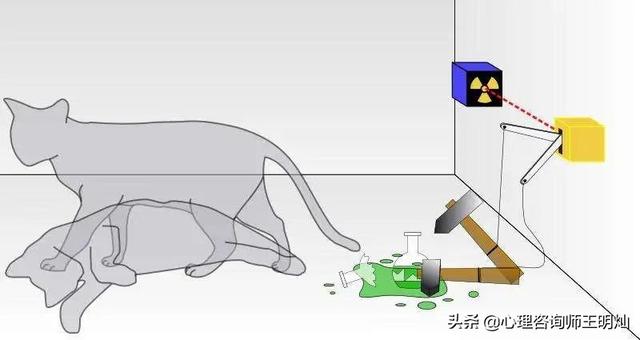 薛定谔的猫，你听过但是一定不了解它