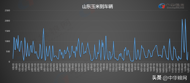 12月12日小麦继续弱势调整；山东玉米持续上涨