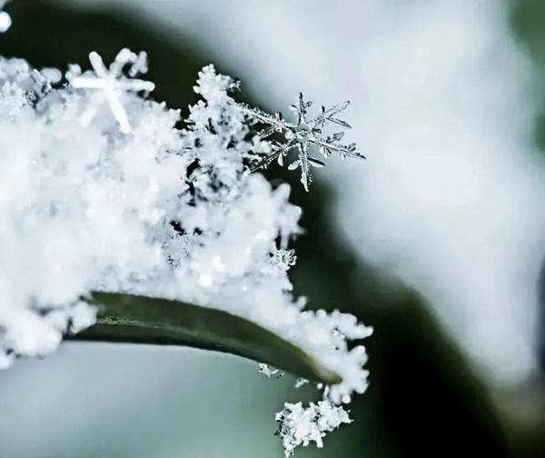 今日小雪｜你那里下雪了吗？