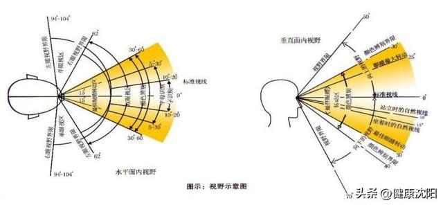 健康科普堂 | 您了解“视野”吗？