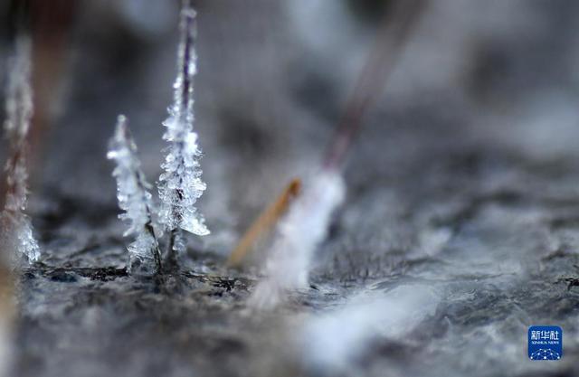 微视界——小雪