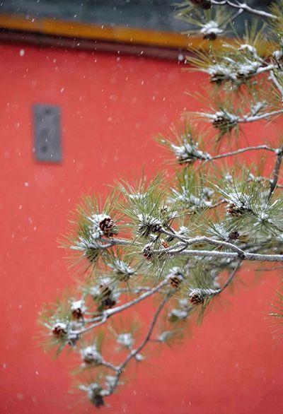 今日小雪｜你那里下雪了吗？