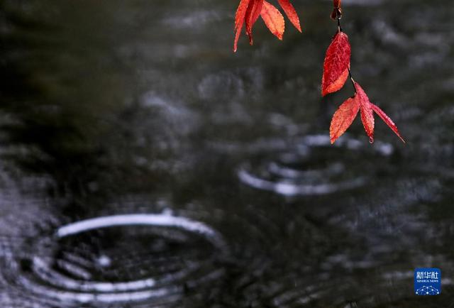 微视界——小雪