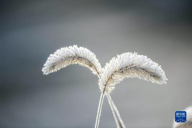 微视界——小雪