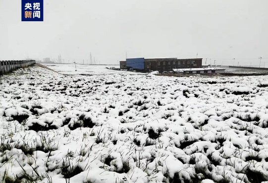 冰火两重天！国内这里下雪了